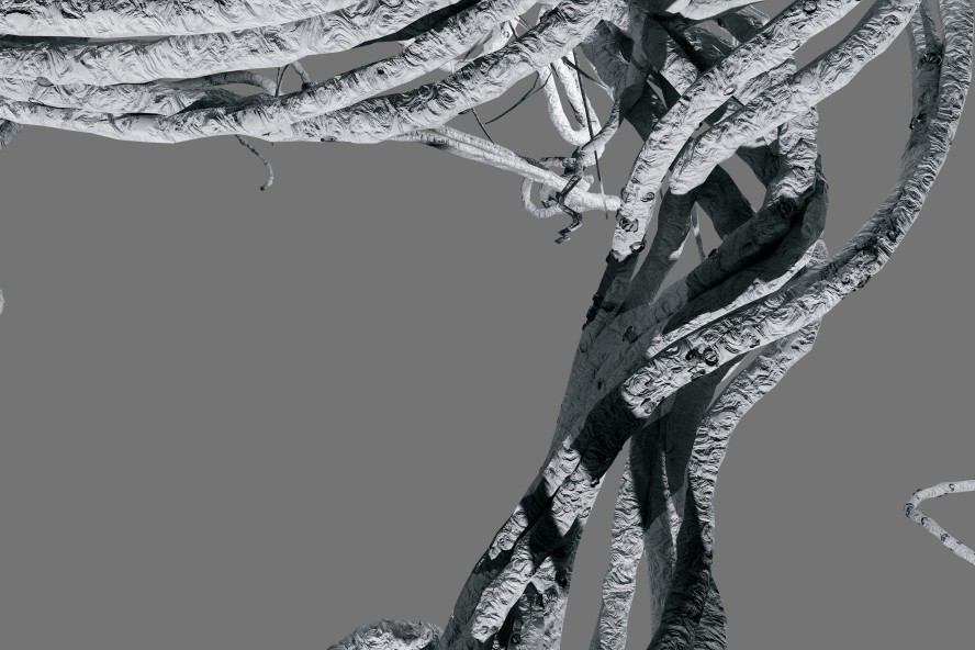 Interpoiesis 3 – Visual concept